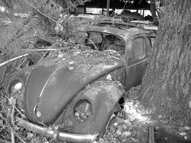 Autofriedhof - 105.JPG - Historischer Autofriedhof,    Gürbetal (CH)